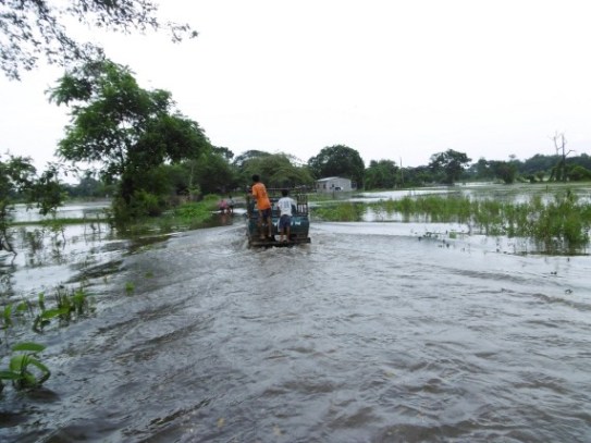 image_content_20029330_20160310175631